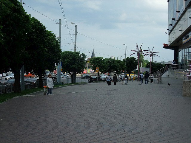 In Kaliningrad