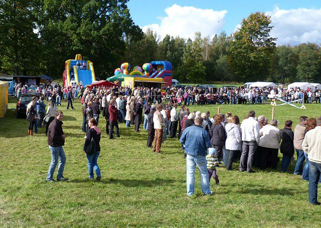 2011